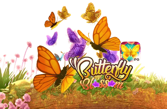 Butterfly Blossom รีวิว