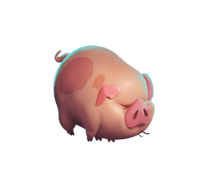 farm pig