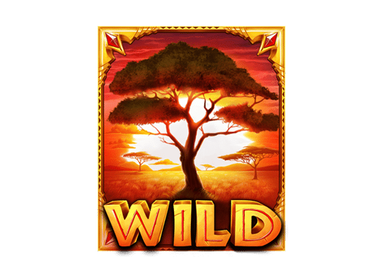 สัญลักษณ์ Wild The Ultimate 5
